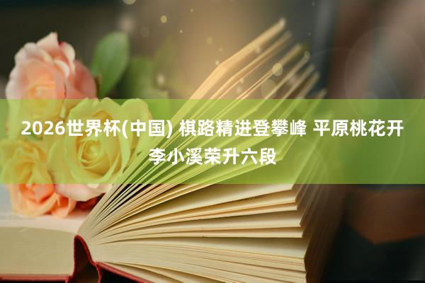 2026世界杯(中国) 棋路精进登攀峰 平原桃花开李小溪荣升六段
