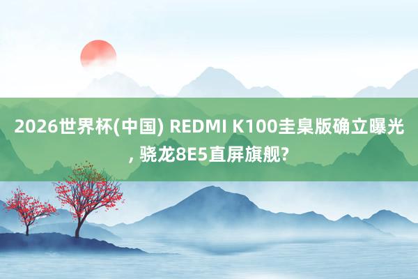2026世界杯(中国) REDMI K100圭臬版确立曝光， 骁龙8E5直屏旗舰?
