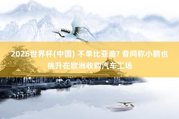 2026世界杯(中国) 不单比亚迪? 音问称小鹏也挑升在欧洲收购汽车工场