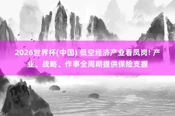 2026世界杯(中国) 低空经济产业看凤岗! 产业、战略、作事全周期提供保险支握