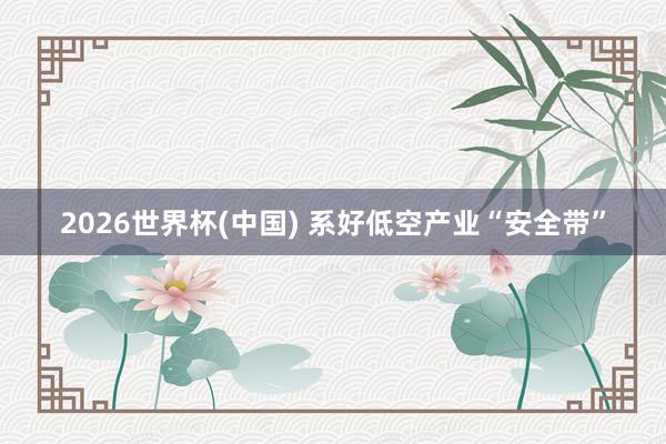 2026世界杯(中国) 系好低空产业“安全带”