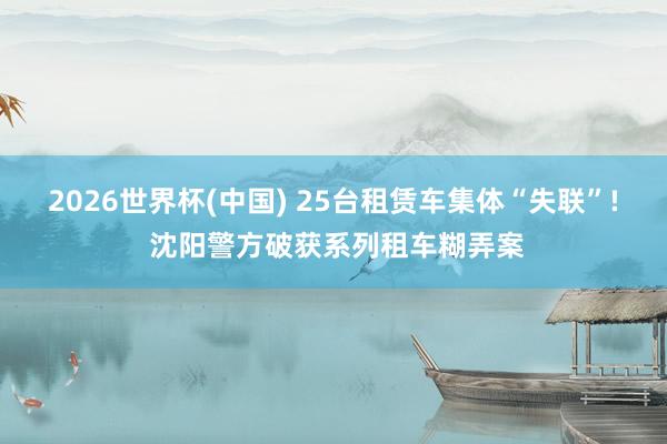 2026世界杯(中国) 25台租赁车集体“失联”! 沈阳警方破获系列租车糊弄案