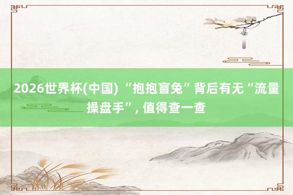 2026世界杯(中国) “抱抱盲兔”背后有无“流量操盘手”， 值得查一查