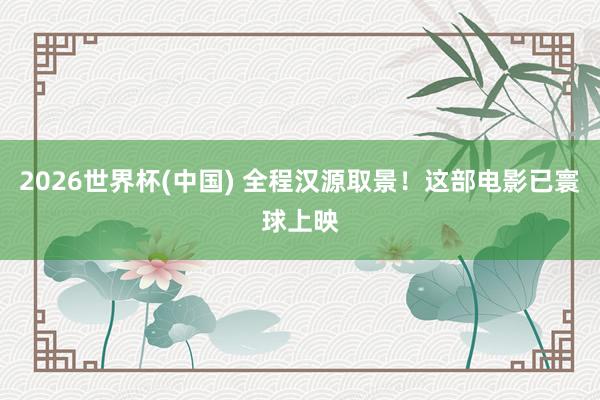 2026世界杯(中国) 全程汉源取景！这部电影已寰球上映