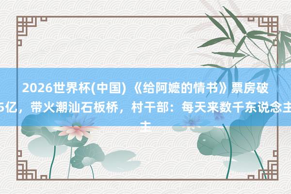 2026世界杯(中国) 《给阿嬷的情书》票房破5亿，带火潮汕石板桥，村干部：每天来数千东说念主