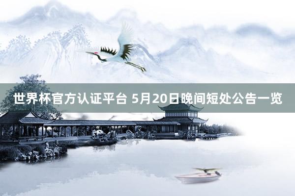 世界杯官方认证平台 5月20日晚间短处公告一览