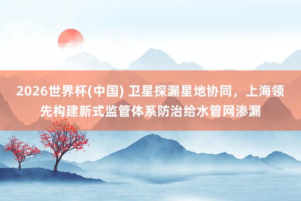 2026世界杯(中国) 卫星探漏星地协同，上海领先构建新式监管体系防治给水管网渗漏