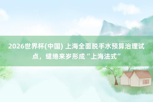 2026世界杯(中国) 上海全面脱手水预算治理试点，缱绻来岁形成“上海法式”