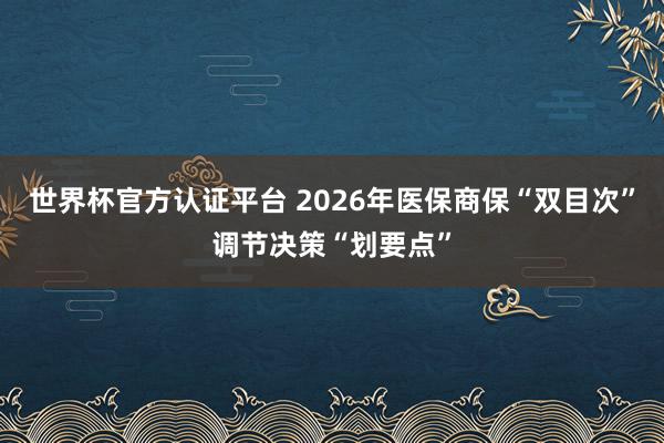 世界杯官方认证平台 2026年医保商保“双目次”调节决策“划要点”