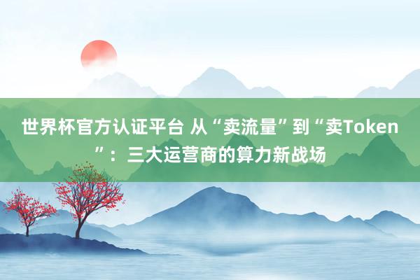 世界杯官方认证平台 从“卖流量”到“卖Token”：三大运营商的算力新战场