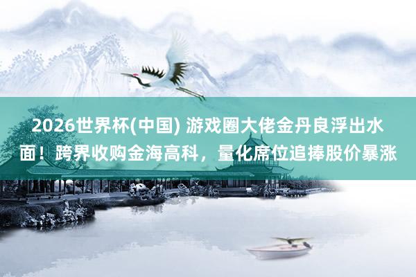 2026世界杯(中国) 游戏圈大佬金丹良浮出水面！跨界收购金海高科，量化席位追捧股价暴涨