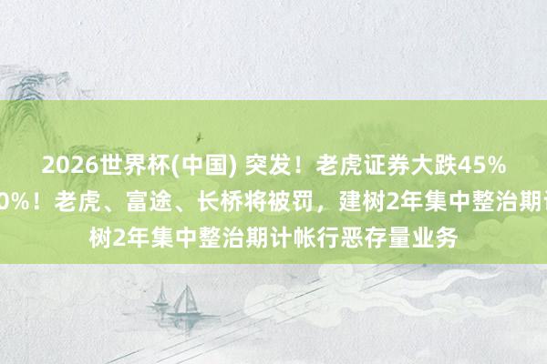 2026世界杯(中国) 突发！老虎证券大跌45%，富途控股跌超30%！老虎、富途、长桥将被罚，建树2年集中整治期计帐行恶存量业务