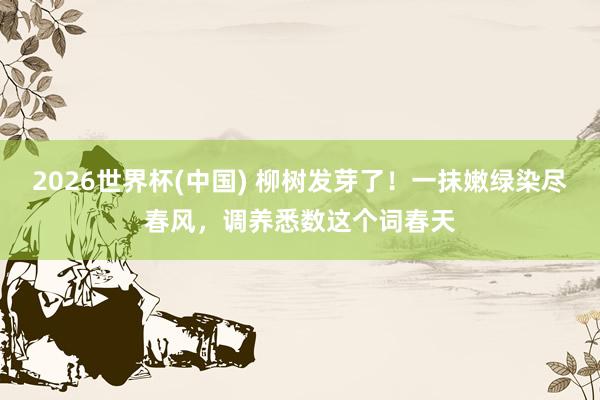 2026世界杯(中国) 柳树发芽了！一抹嫩绿染尽春风，调养悉数这个词春天