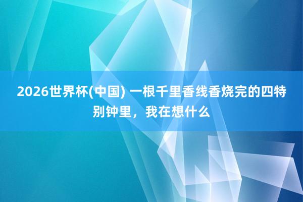 2026世界杯(中国) 一根千里香线香烧完的四特别钟里，我在想什么