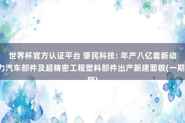 世界杯官方认证平台 肇民科技: 年产八亿套新动力汽车部件及超精密工程塑料部件出产新建面貌(一期)
