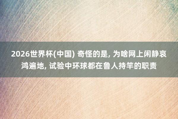 2026世界杯(中国) 奇怪的是， 为啥网上闲静哀鸿遍地， 试验中环球都在鲁人持竿的职责