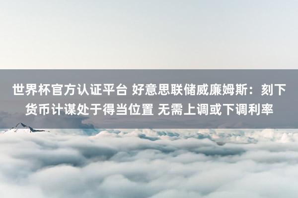 世界杯官方认证平台 好意思联储威廉姆斯：刻下货币计谋处于得当位置 无需上调或下调利率