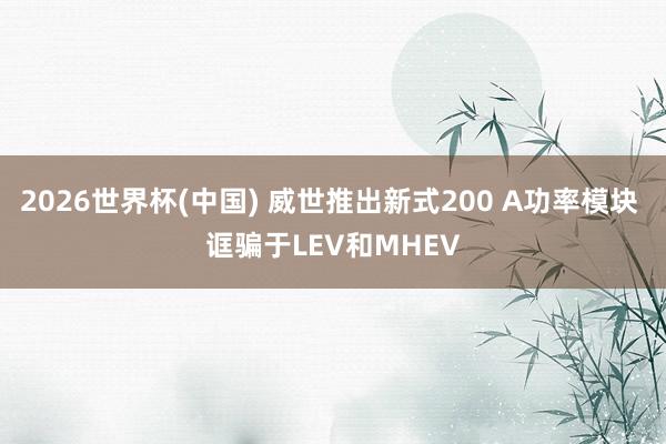 2026世界杯(中国) 威世推出新式200 A功率模块 诓骗于LEV和MHEV