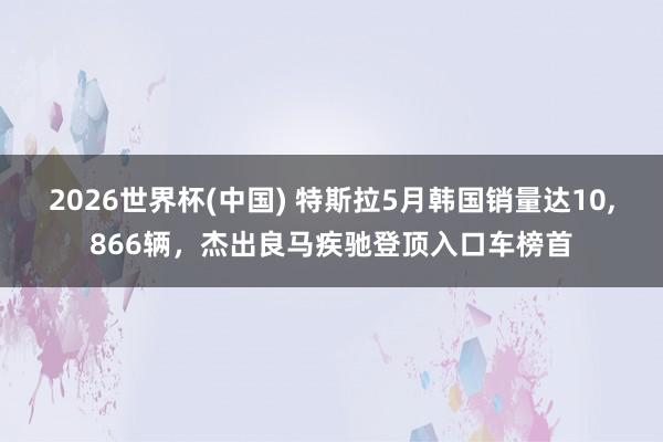 2026世界杯(中国) 特斯拉5月韩国销量达10，866辆，杰出良马疾驰登顶入口车榜首