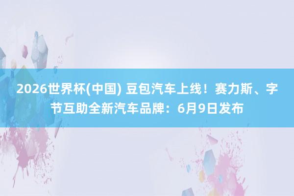 2026世界杯(中国) 豆包汽车上线!赛力斯、字节互助全新汽车品牌:6月9日发布