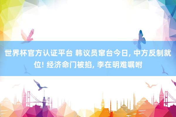 世界杯官方认证平台 韩议员窜台今日， 中方反制就位! 经济命门被掐， 李在明难嘱咐