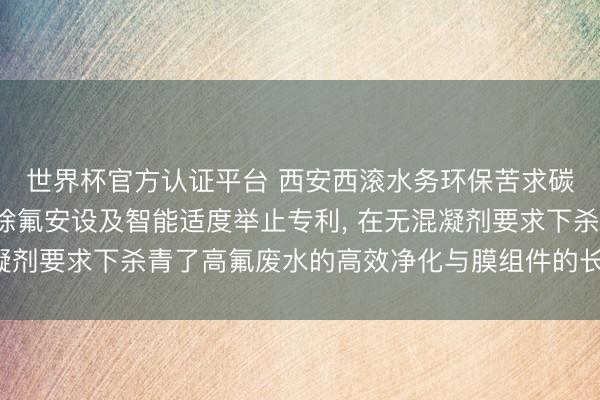 世界杯官方认证平台 西安西滚水务环保苦求碳化硅膜-流化床轮回除氟安设及智能适度举止专利, 在无混凝剂要求下杀青了高氟废水的高效净化与膜组件的长效相识驱动