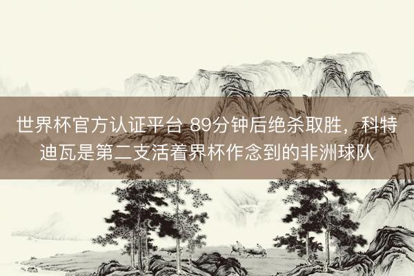 世界杯官方认证平台 89分钟后绝杀取胜，科特迪瓦是第二支活着界杯作念到的非洲球队