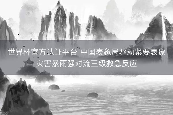 世界杯官方认证平台 中国表象局驱动紧要表象灾害暴雨强对流三级救急反应