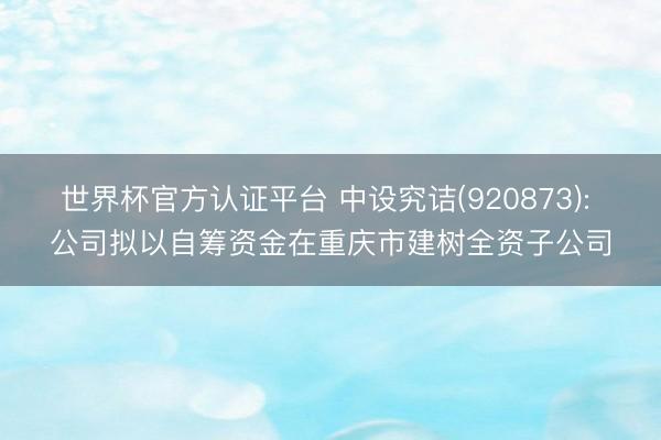 世界杯官方认证平台 中设究诘(920873): 公司拟以自筹资金在重庆市建树全资子公司