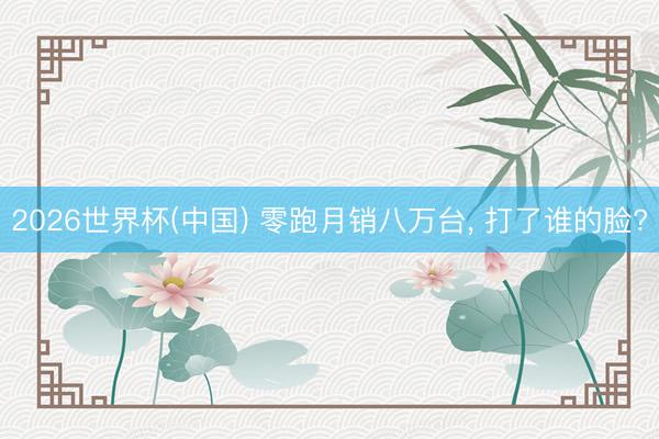 2026世界杯(中国) 零跑月销八万台， 打了谁的脸?